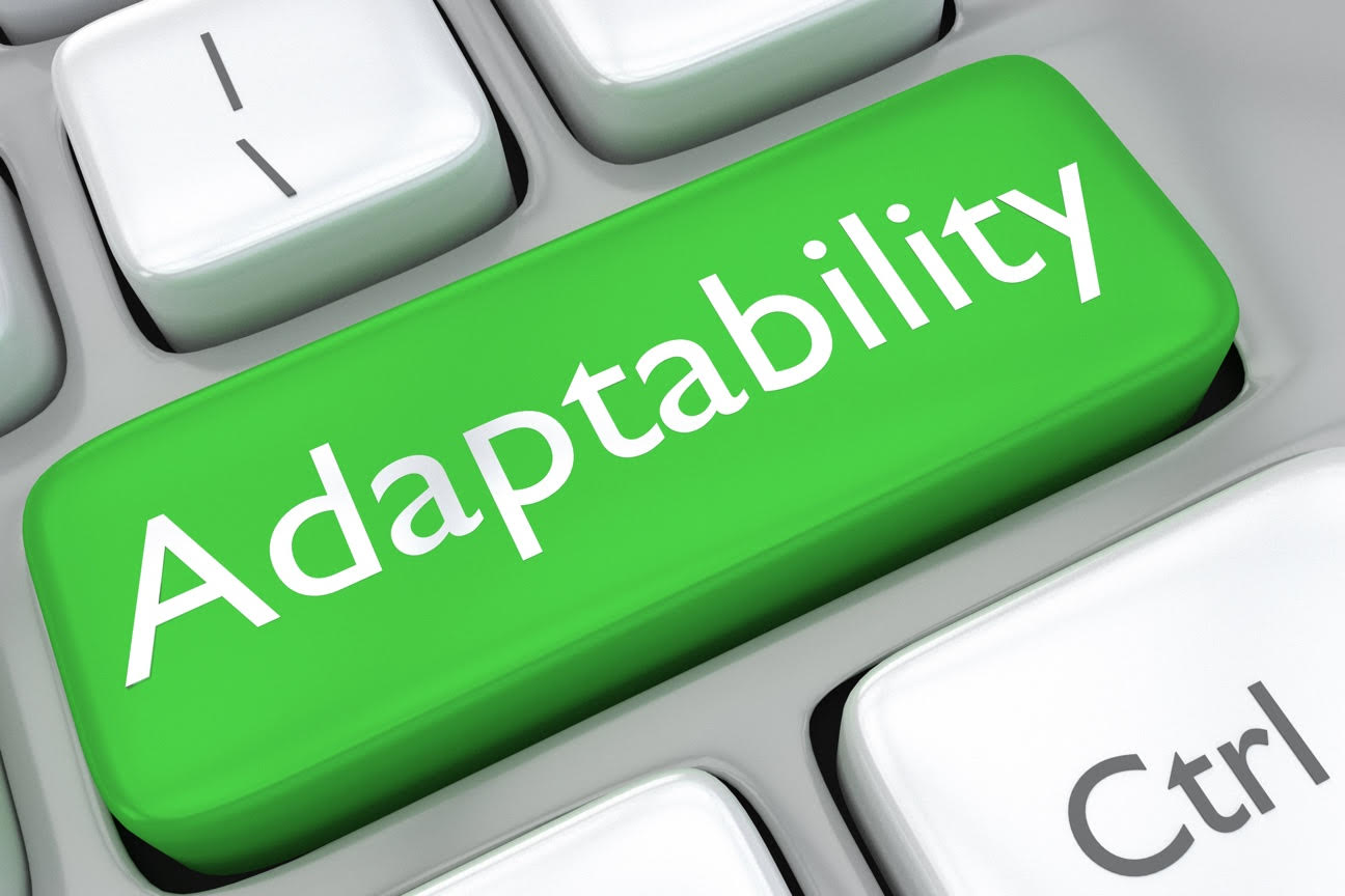 Leaders with the Skill of Adaptability :: HOPE Network Ministries